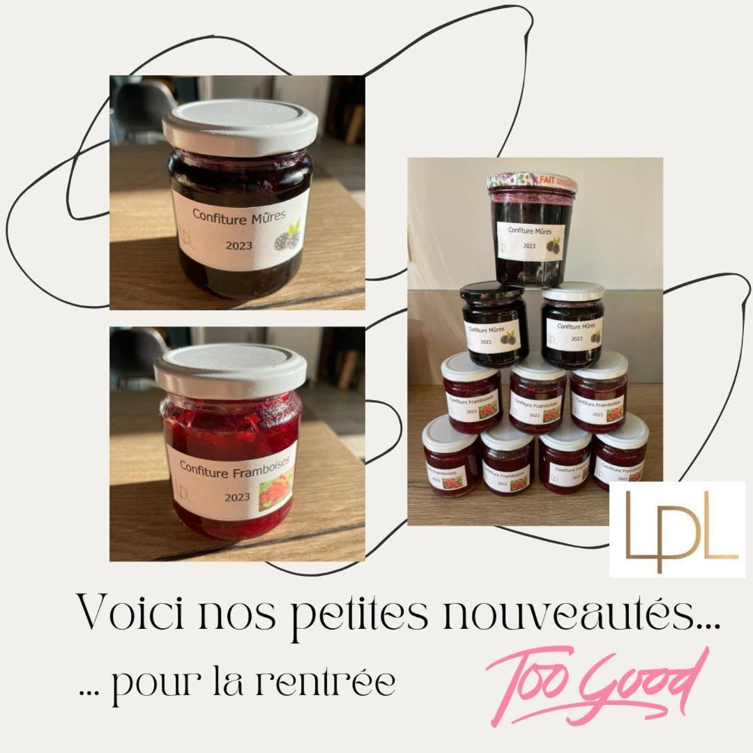 Logis De Pierre Levee Bed & Breakfast Bessines Dış mekan fotoğraf