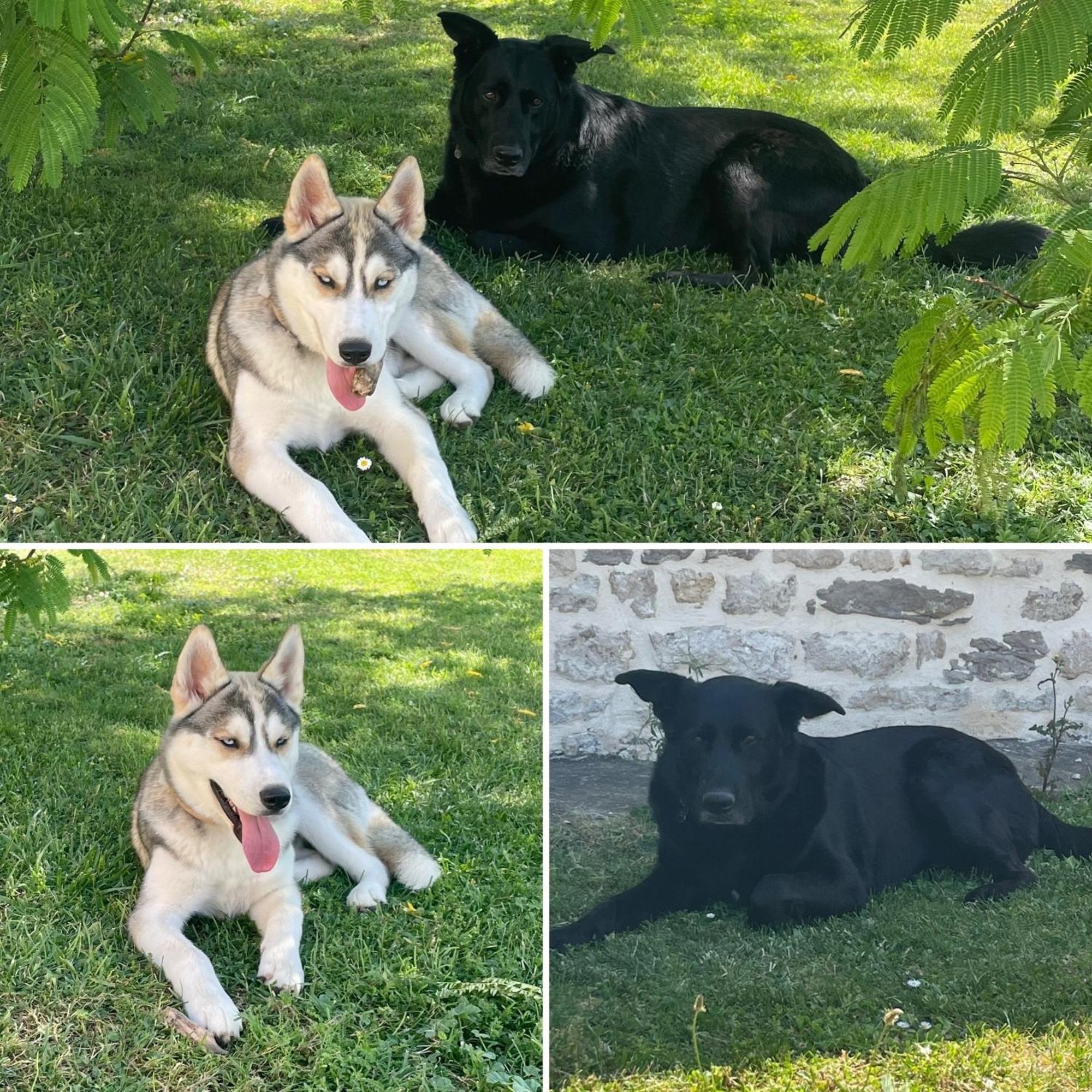 Logis De Pierre Levee Bed & Breakfast Bessines Dış mekan fotoğraf